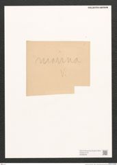 Navicula sp. (de-Toni-Nr.: Genus 1) Zeichnungen Sammlung Grunow (NHMW-BOT-W0368298)